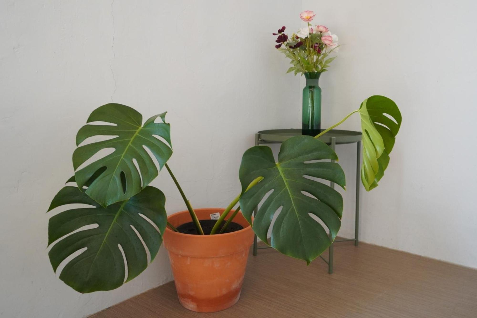 山森三室墾丁包棟民宿3Rooms Nanwan Eksteriør billede